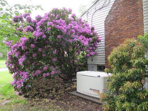 Photo-Sep-05-2-53-42-PM.jpg